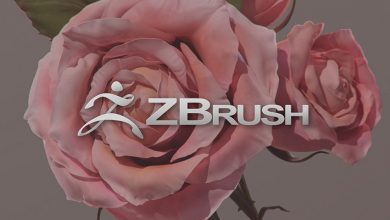 ZBrush, the software for making sculptures