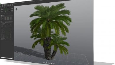 PlantCatalog from e-on software, the ideal tool to simulate plants in 3D