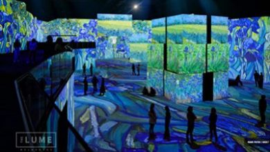 Cinema 4D helps the filming of A Colorful Dream